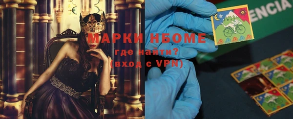 индика Бердск