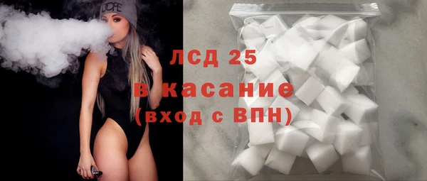 крисы Абаза