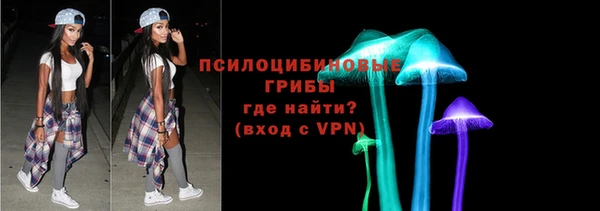 крисы Абаза