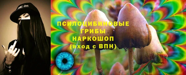индика Бердск